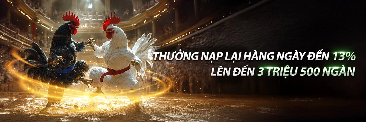 Hình ảnh chính của trang Điều khoản và Điều kiện 89bet13 nhà cái